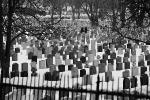 https://www.pexels.com/photo/graveyard-grave-stones-gravestones-graves-7911/